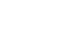 Vegas Berry 500x500_white